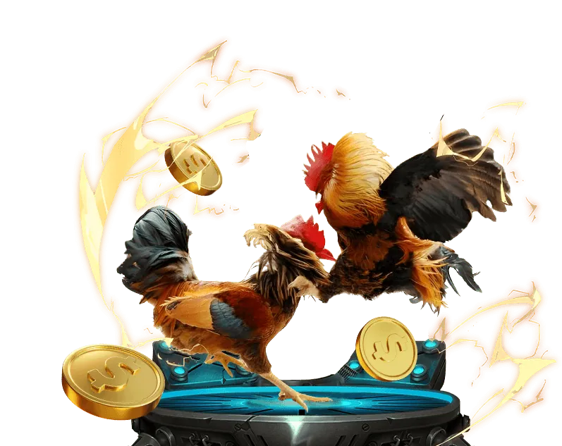 Hình ảnh giới thiệu thương hiệu trực tiếp đá gà đòn